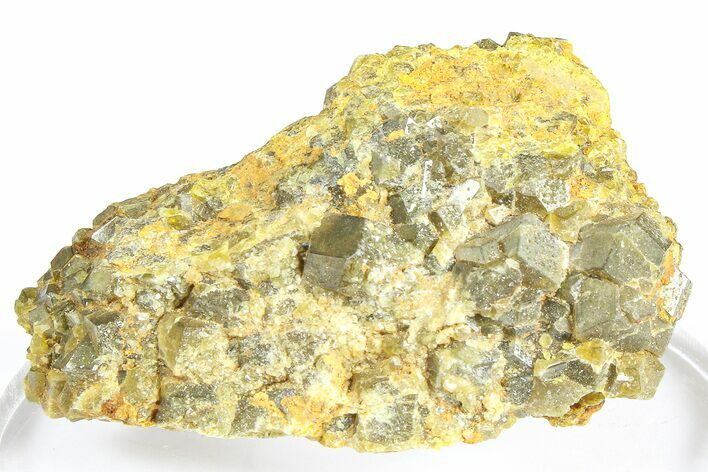 Olive Topazolite Garnet Cluster - Quartzite Mountain, Arizona #363742